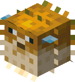 A pufferfish.