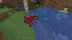 Squid Official Minecraft Wiki