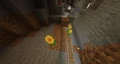 3 sunflowers found in abanonded mineshaft.
