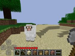 AncientSheep.jpg