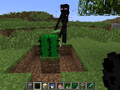 In older versions, endermen could place cacti on any block.