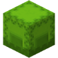 Lime Shulker Box