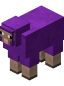 Purple Sheep BE4