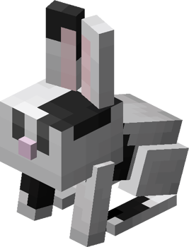 Bebé negro y blanco