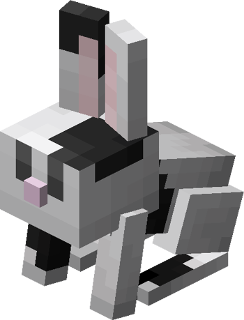 Bebé negro y blanco