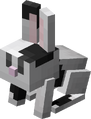 Baby Black & White Rabbit.png