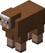 Brown Sheep