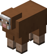 Brown Sheep