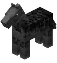 Gray Horse with Black Dots