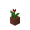 Potted Red Tulip.png