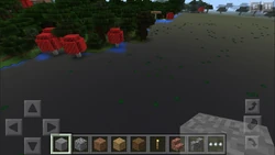 A swamp in pocket edition.