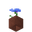 Potted Cornflower UNKVER1 (facing NWU).png