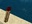 Unlit Redstone Wall Torch (N) BE2.png