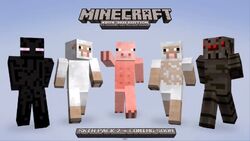 Skin Pack Official Minecraft Wiki Skin Pack Official Minecraft Wiki