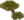 Acacia tree 19w45a