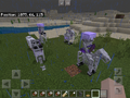 As quatro variantes de armadilhas de esqueletos usando etiquetas nomeadas de "Grumm" ou "Dinnerbone".