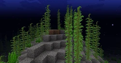 Naturally generated kelp in an ocean biome.