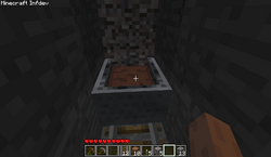 How to Trap an Endermite in a Minecart 1.17 + 