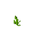Stem Age 4 JE1.png