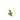 Stem Age 4 JE1