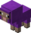 Baby Purple Sheep BE4