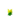 Dandelion JE3