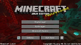 Java Edition 1.16.4
