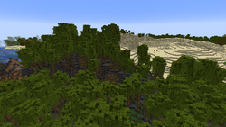 Mangrove swamp close to desert.