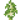 Birch Sapling (texture) JE2 BE2