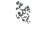Glow Lichen (N) JE1.png