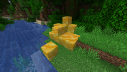 Honey Block – Minecraft Wiki