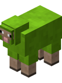 Lime Sheep BE4
