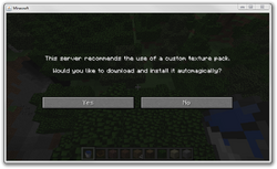 First image of a texture pack prompt when joining a server.