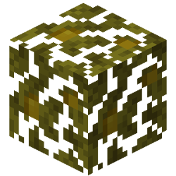 Desert