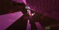 La morte dell'Ender dentro la netherrack