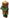 Desert Nitwit
