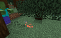 A spider with invisibility during the night.