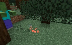 A spider with invisibility during the night.