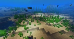 A reef less area of a warm ocean, with some sea pickles.