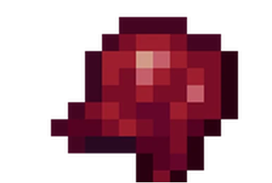 THIS IS MY BUDOKAN?! 2010.11.28 | ONE OK ROCK Wiki | Fandom