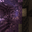 1.17 panorama 1.png