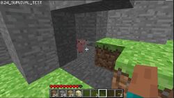 Proto:Minecraft: Java Edition/Classic/Survival Test - The Cutting