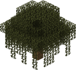 Swamp Tree