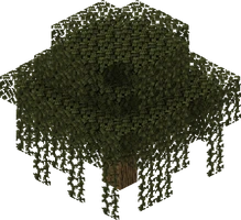 Swamp Tree