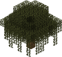 TIL that Podzol only spawns underneath the leaves of 2x2 trees in