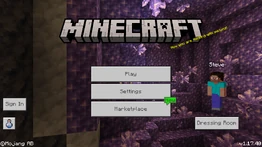 Bedrock 1.17.40