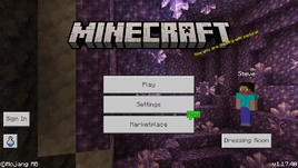Bedrock 1.17.40