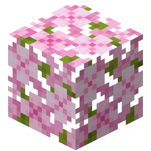 Leaves – Minecraft Wiki