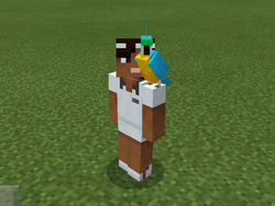 Parrot Official Minecraft Wiki