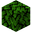 Dark Oak Leaves (fast) JE1.png